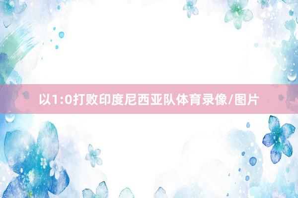 以1:0打败印度尼西亚队体育录像/图片