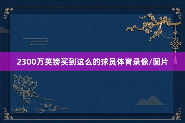 2300万英镑买到这么的球员体育录像/图片