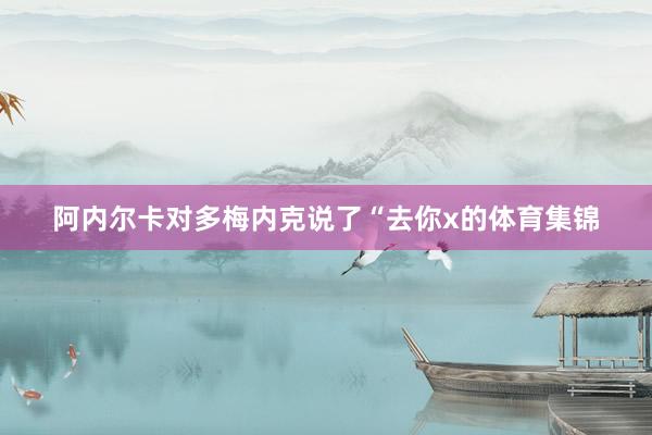 阿内尔卡对多梅内克说了“去你x的体育集锦